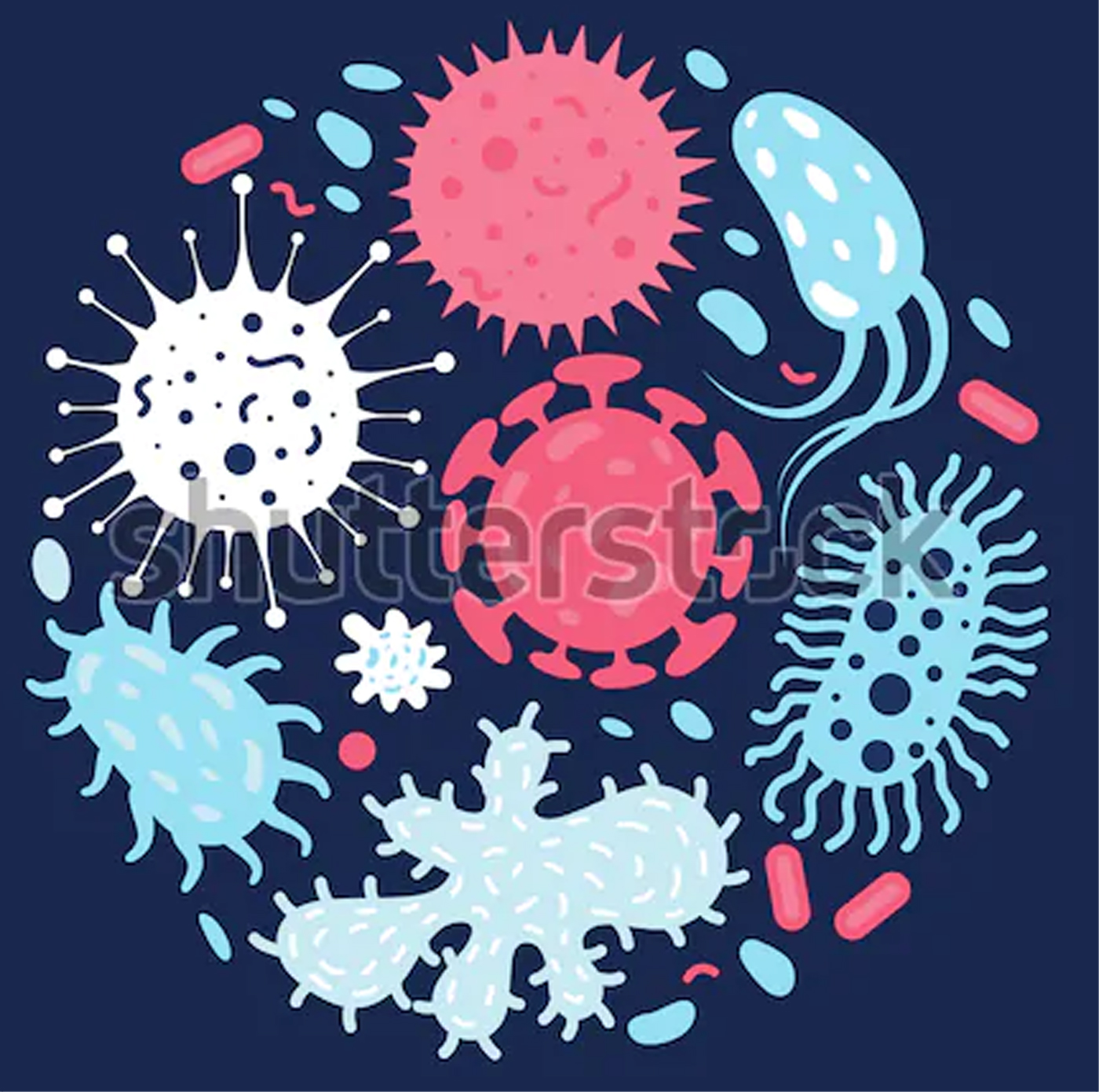 IMMUNFÖRSVAR - Bild 2