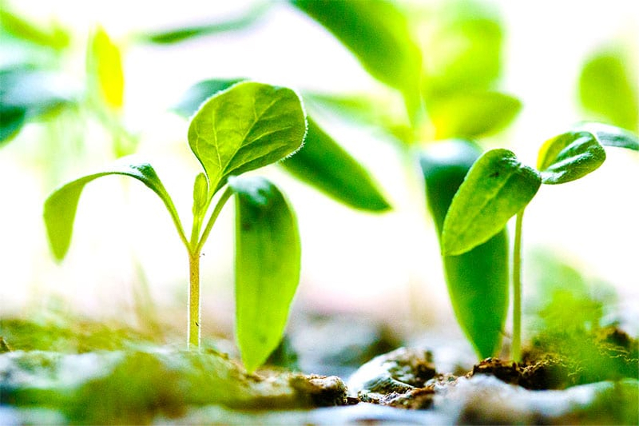 AUTISM – ADD – ADHD – PSYKE